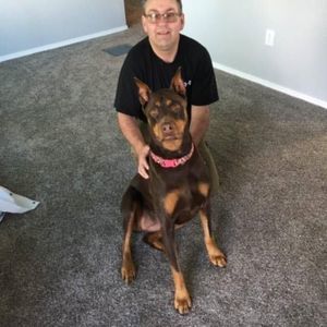 Meet your Posher, Nathan